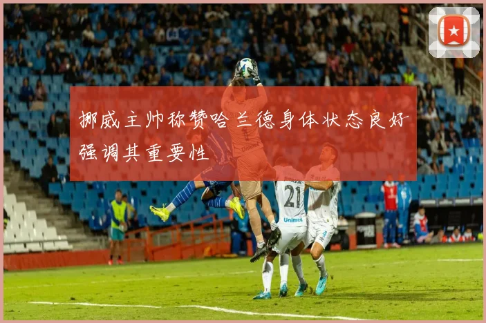 挪威主帅称赞哈兰德身体状态良好强调其重要性