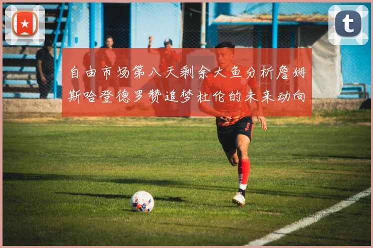 自由市场第八天剩余大鱼分析詹姆斯哈登德罗赞追梦杜伦的未来动向